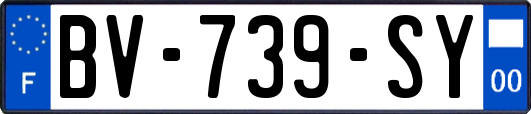 BV-739-SY