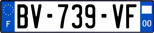 BV-739-VF