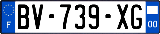 BV-739-XG