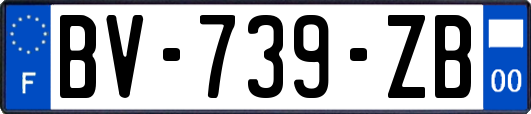 BV-739-ZB