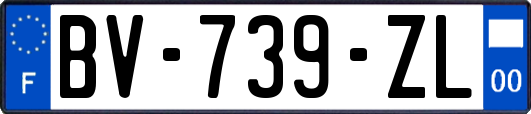 BV-739-ZL