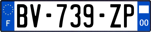 BV-739-ZP