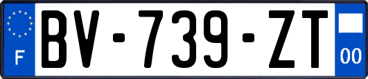 BV-739-ZT