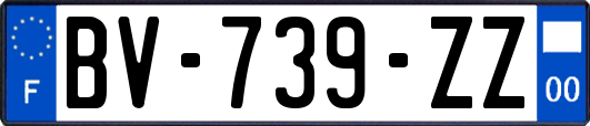 BV-739-ZZ