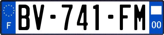 BV-741-FM