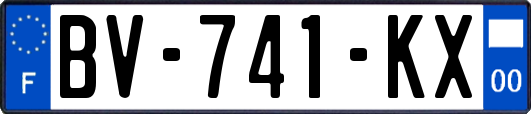 BV-741-KX
