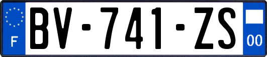 BV-741-ZS