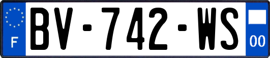 BV-742-WS