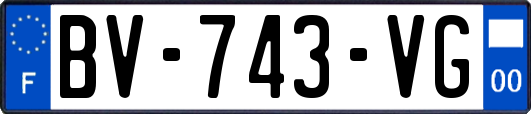 BV-743-VG