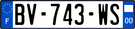 BV-743-WS