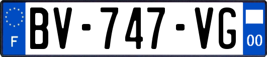 BV-747-VG