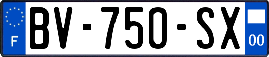 BV-750-SX