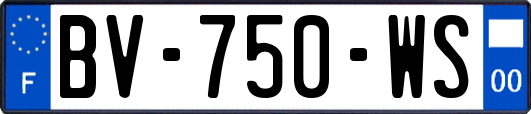 BV-750-WS