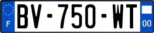 BV-750-WT