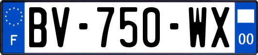 BV-750-WX