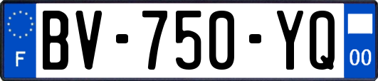 BV-750-YQ