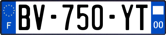 BV-750-YT