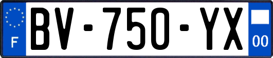 BV-750-YX