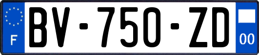 BV-750-ZD