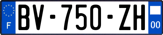 BV-750-ZH