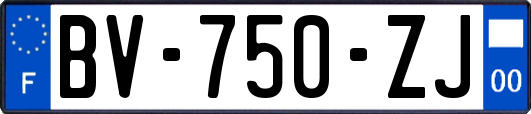 BV-750-ZJ