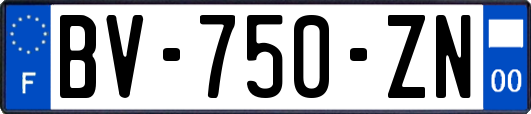 BV-750-ZN