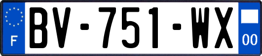 BV-751-WX