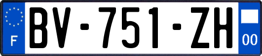 BV-751-ZH