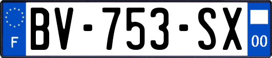 BV-753-SX