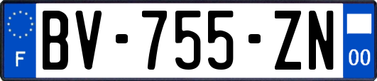 BV-755-ZN