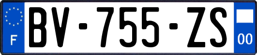 BV-755-ZS