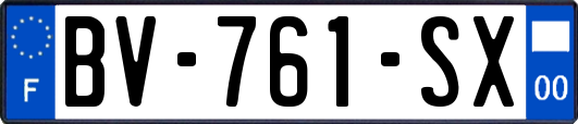 BV-761-SX