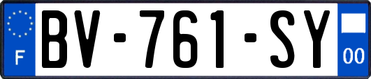 BV-761-SY