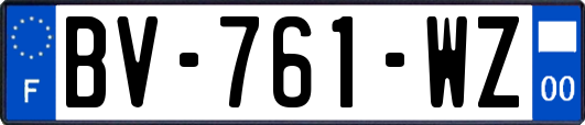 BV-761-WZ