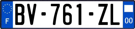 BV-761-ZL