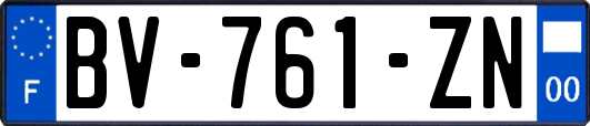 BV-761-ZN