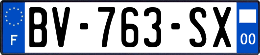 BV-763-SX