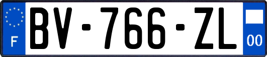 BV-766-ZL