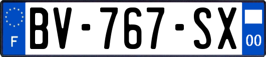 BV-767-SX