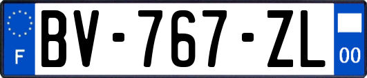 BV-767-ZL