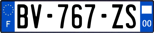 BV-767-ZS