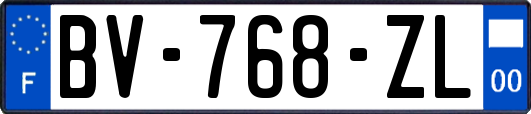 BV-768-ZL