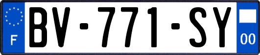 BV-771-SY