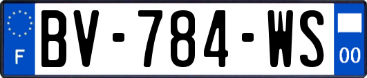 BV-784-WS