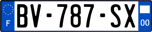 BV-787-SX