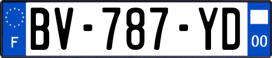 BV-787-YD