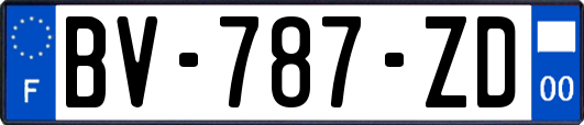 BV-787-ZD