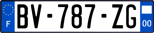 BV-787-ZG