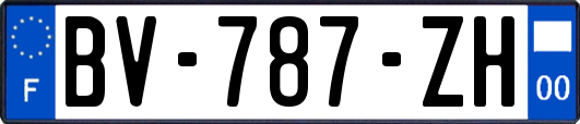 BV-787-ZH