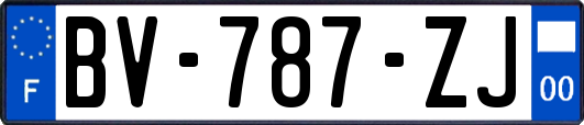 BV-787-ZJ